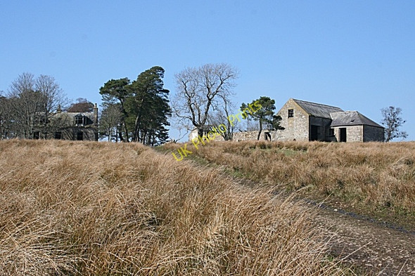 Photo 6"x4" Greens of Glenbeg Haugh of Glass c2009