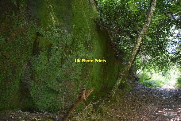 Photo 6"x4" Sandstone cliff Ardingly c2020