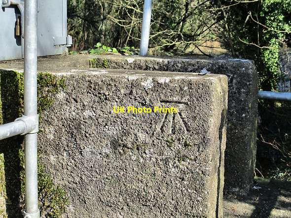 Photo 6"x4" Trig Point Durrow c2021