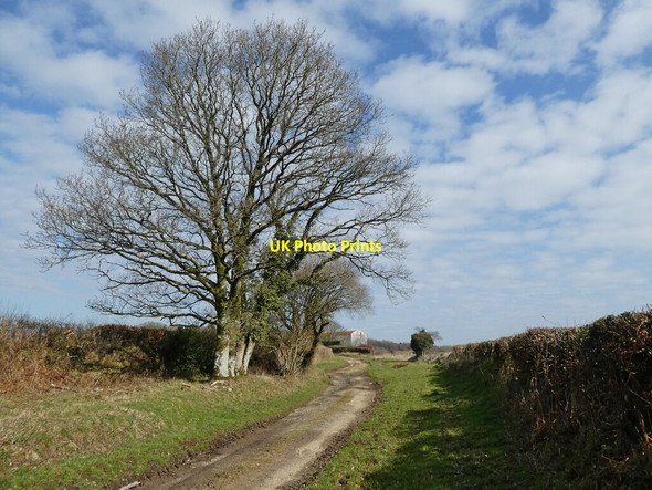 Photo 6"x4" Bridleway on Affeton Moor West Worlington c2021
