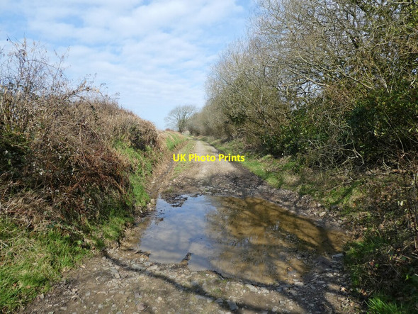 Photo 6"x4" Bridleway on Affeton Moor West Worlington c2021