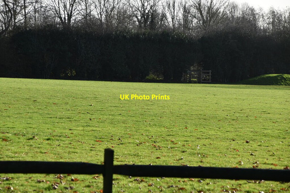 Photo 6"x4" Pluckley Cricket Ground Pluckley c2019