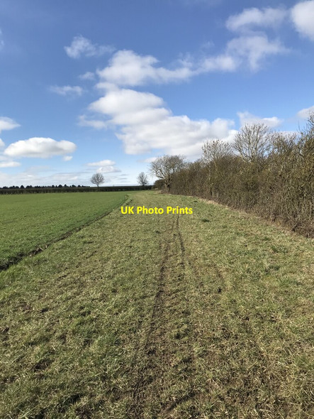 Photo 6"x4" Farmland bridleway Hargrave\/TL0370 c2021
