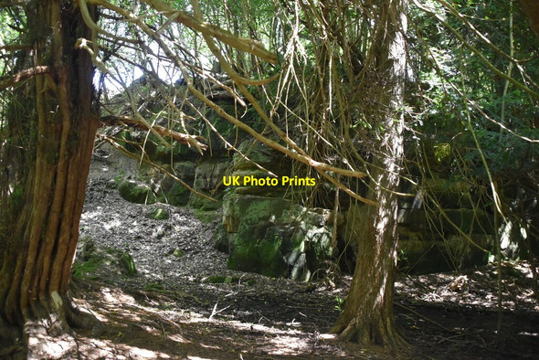 Photo 6"x4" Sandstone cliff West Hoathly c2020