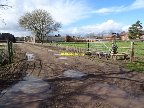 Photo 6"x4" Manor Farm, Powick Powick c2021
