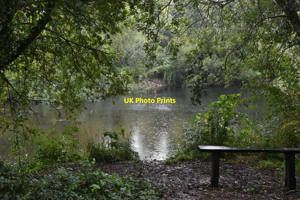 Photo 6"x4" Pond, Little Wilbraham Fen Frog End\/TL5358 c2020