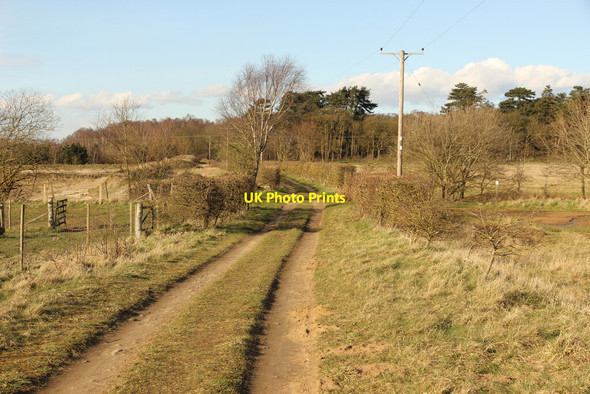 Photo 6"x4" Bridleway to Twigmoor Woods Greetwell c2021