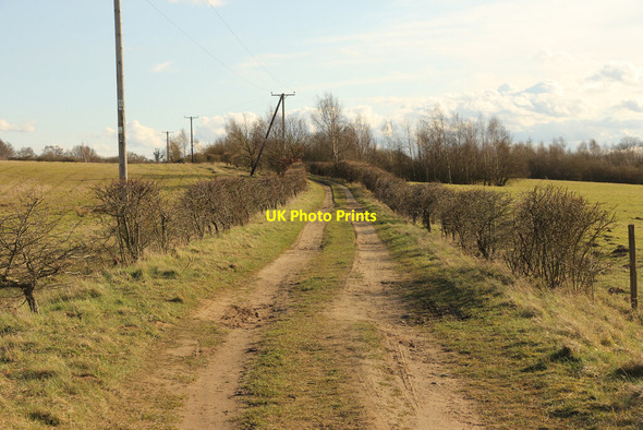 Photo 6"x4" Bridleway to Manton Greetwell c2021
