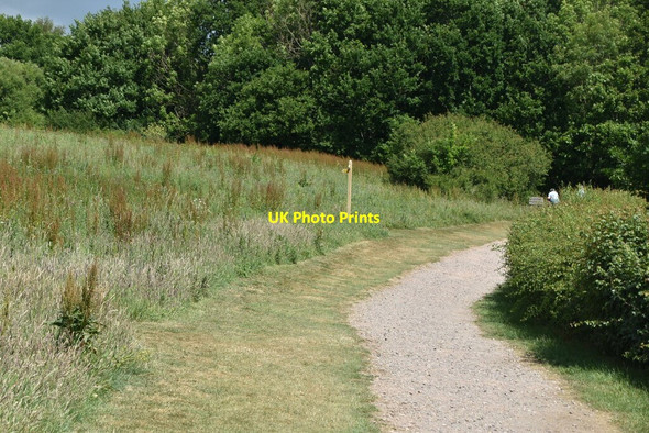 Photo 6"x4" Bridleway, Arlington Reservoir Selmeston c2020