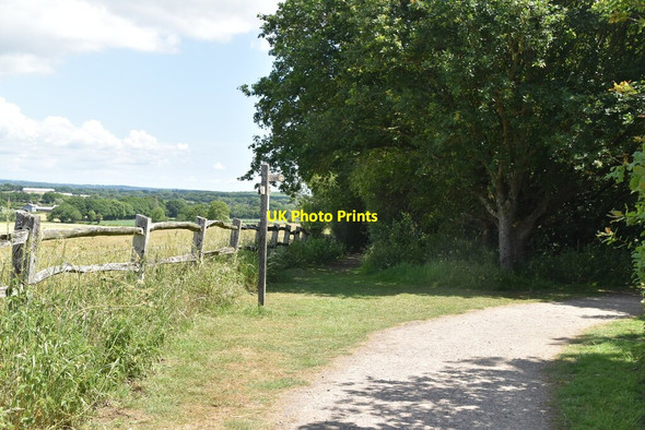 Photo 6"x4" Bridleway, footpath junction Arlington\/TQ5407 c2020