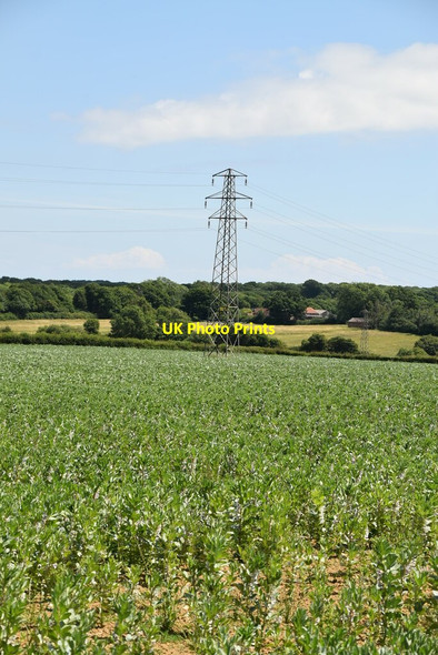 Photo 6"x4" Pylon in field Arlington\/TQ5407 c2020