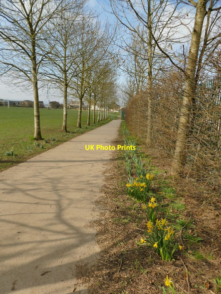 Photo 6"x4" Path to Rawdon Littlemoor primary school  Yeadon c2021
