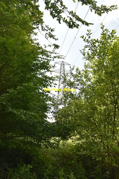 Photo 6"x4" Pylon in the woods Caneheath c2020