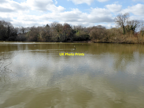 Photo 6"x4" Ifield Mill Pond, Gossops Green, Crawley Bewbush c2021