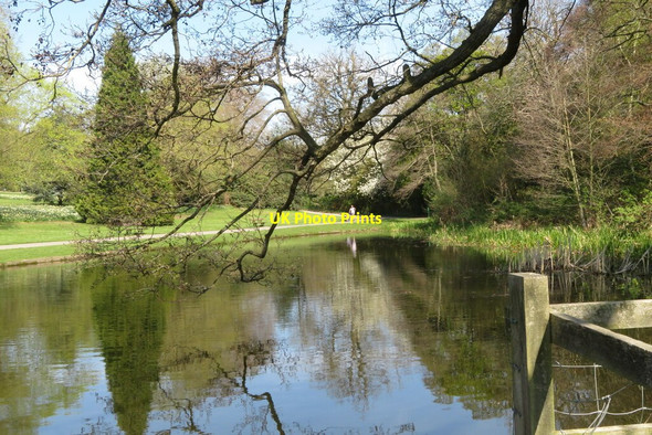 Photo 6"x4" Menagerie ponds Temple Newsam Colton\/SE3632 c2020