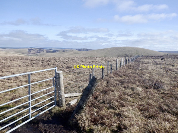 Photo 6"x4" Gate and fence, Blackside Rig Garvald Law c2021