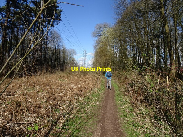 Photo 6"x4" Pylon Path Enville c2021