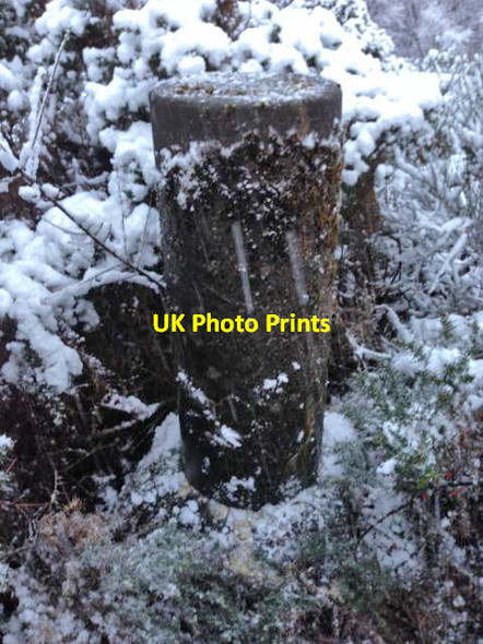 Photo 6"x4" Great Glen Project Station I Trig Point - No Flush Bracket Fort Augustus c2015