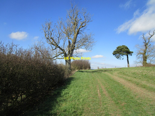 Photo 6"x4" Bridleway to Oakham Road Halstead\/SK7505 c2021