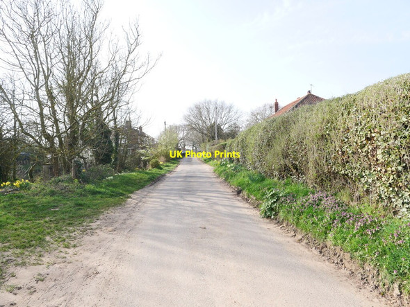 Photo 6"x4" South on Pond Lane Knapton Knapton\/TG3034 c2021