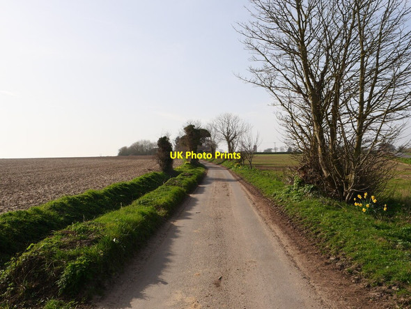 Photo 6"x4" Pond Lane from the North Knapton\/TG3034 c2021