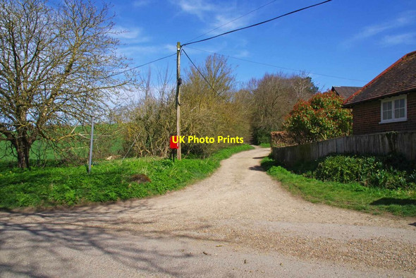 Photo 6"x4" Byway to Great Chishill Little Chishill c2021