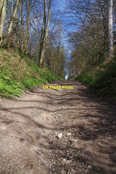 Photo 6"x4" Sunken Byway to Great Chishill Little Chishill c2021