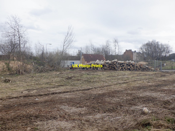 Photo 6"x4" Log pile, Duddingston Edinburgh c2021