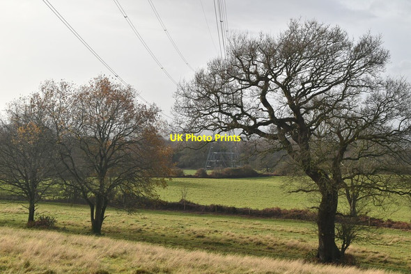 Photo 6"x4" Trees, pylon and farmland Alvanley c2019