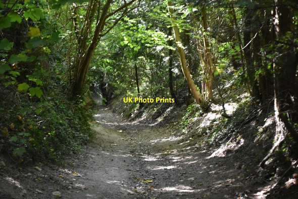 Photo 6"x4" Byway to Burham Blue Bell Hill c2020