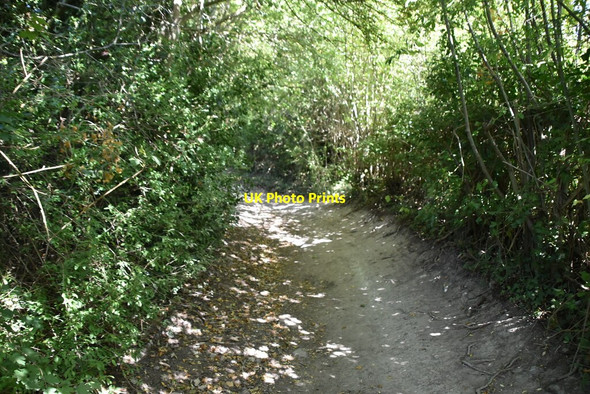 Photo 6"x4" Byway ascending The North Downs Blue Bell Hill c2020
