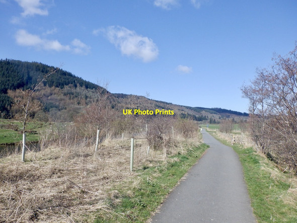 Photo 6"x4" Walkerburn to Peebles path Innerleithen c2021