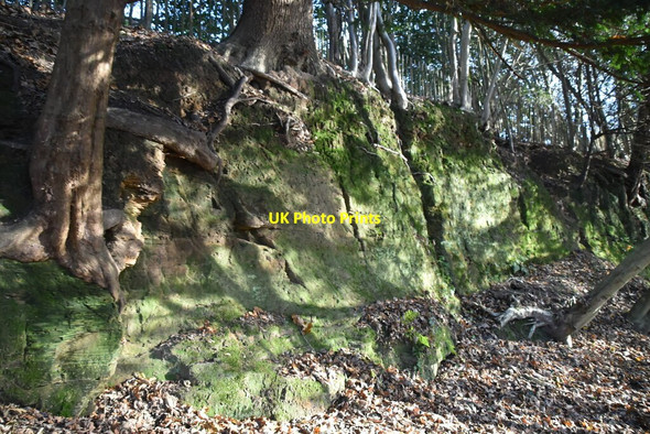 Photo 6"x4" Sandstone cliff Langton Green\/TQ5439 c2020