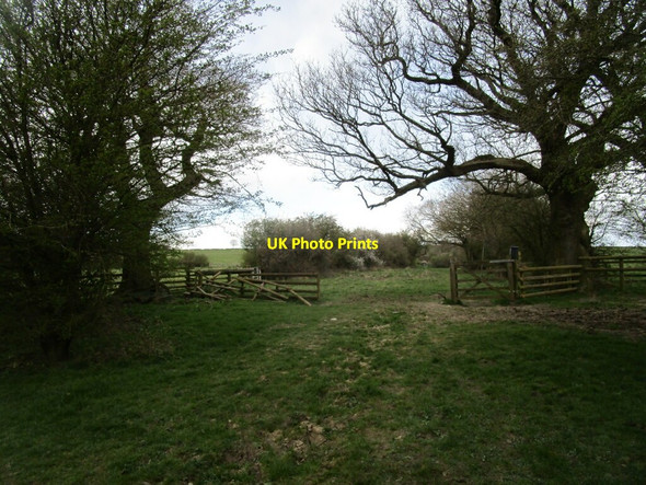 Photo 6"x4" Bridleway near Flitteriss Park Farm Braunston-in-Rutland c2021