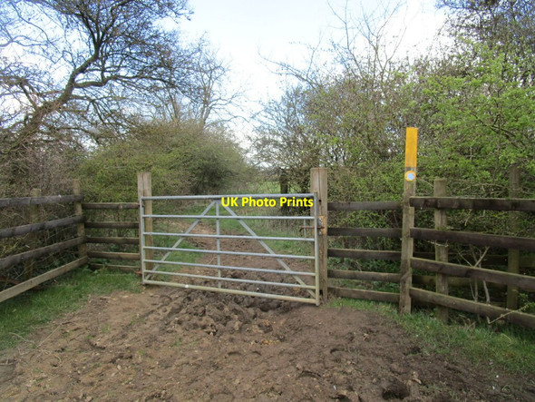 Photo 6"x4" Gate on the bridleway near Braunston Lodge Braunston-in-Rutland c2021