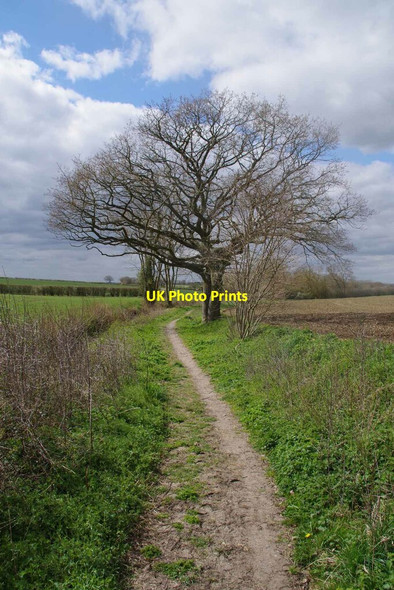 Photo 6"x4" Bridleway From Camps End Camps End c2021