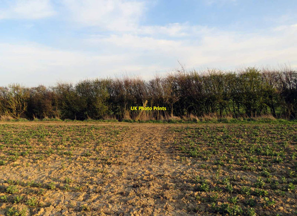 Photo 6"x4" Public Bridleway junction Teigh c2021