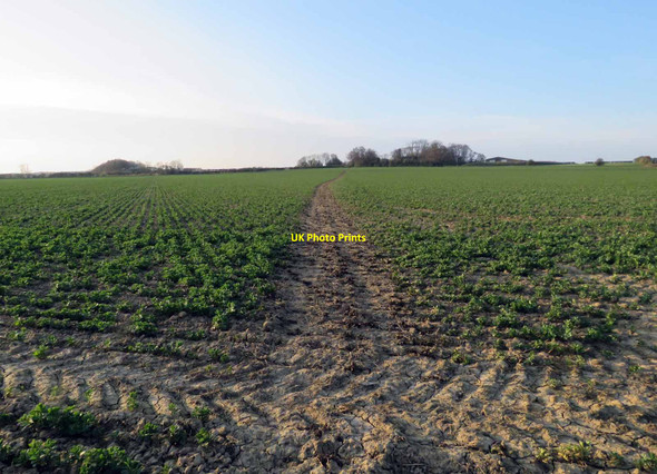 Photo 6"x4" Public Bridleway towards Teigh Lodge Teigh c2021