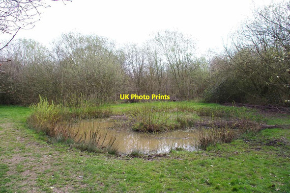 Photo 6"x4" A Pond in the Millennium Wood Castle Camps c2021