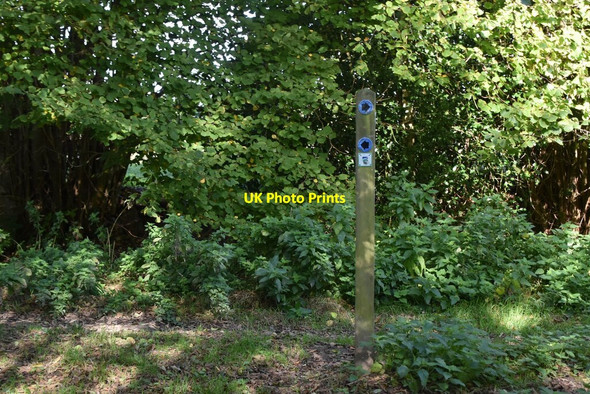 Photo 6"x4" Bridleway junction Colt's Hill c2020