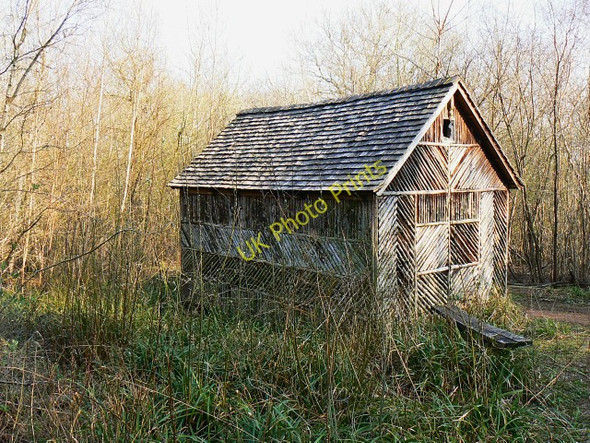 Photo 6"x4" Building in Ravensroost Wood Minety c2009