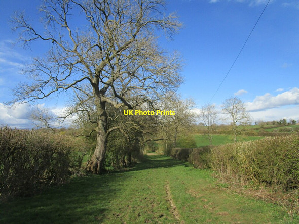 Photo 6"x4" Bridleway to Knossington Knossington c2021 P2