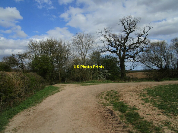 Photo 6"x4" Junction of bridleway and footpath Lambley\/SK6345 c2021