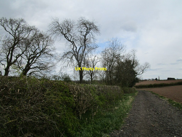Photo 6"x4" Bridleway to Lowdham Lambley\/SK6345 c2021