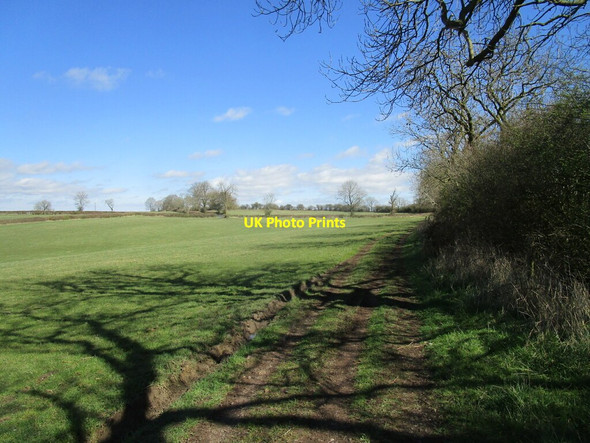 Photo 6"x4" Byway to Melton Lane Thorpe Satchville c2021