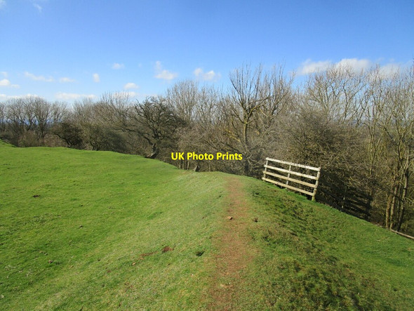 Photo 6"x4" North west corner of the ramparts, Burrough Iron Age hill fort Burrough on the Hill c2021
