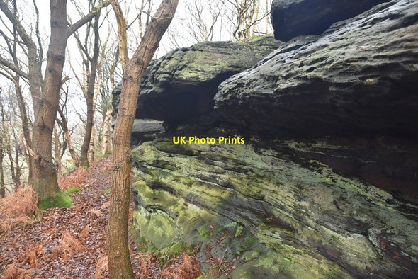 Photo 6"x4" Sandstone cliff, Woodhouse Hill Wood Frodsham c2019