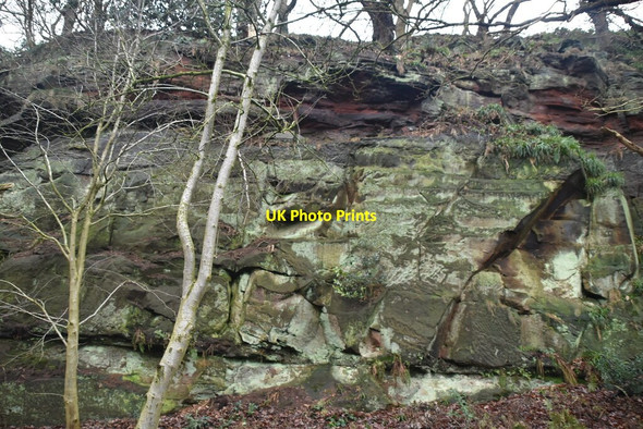 Photo 6"x4" Sandstone cliff, Dunsdale Hollow Frodsham c2019