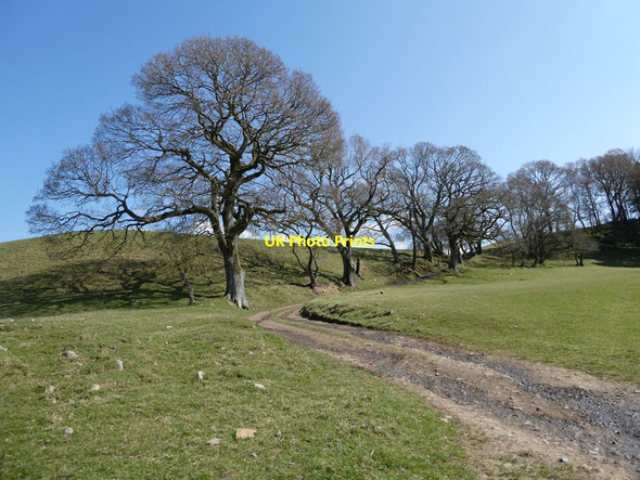 Photo 6"x4" Byway to Low Carry House Farm Birtley\/NY8778 c2021