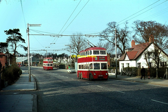 Photo 6"x4" Belfast trolleybuses on Falls Road - 1968 Belfast c1968